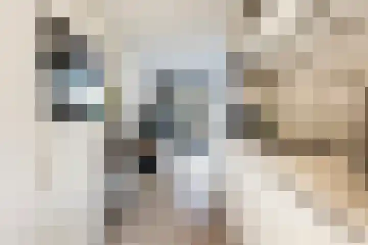 Korte Grafte 9 Apeldoorn thumbnail 8