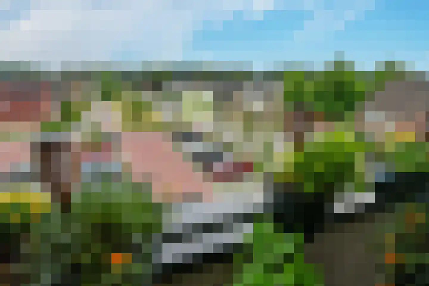 Korte Griet 9 g Westervoort thumbnail 30