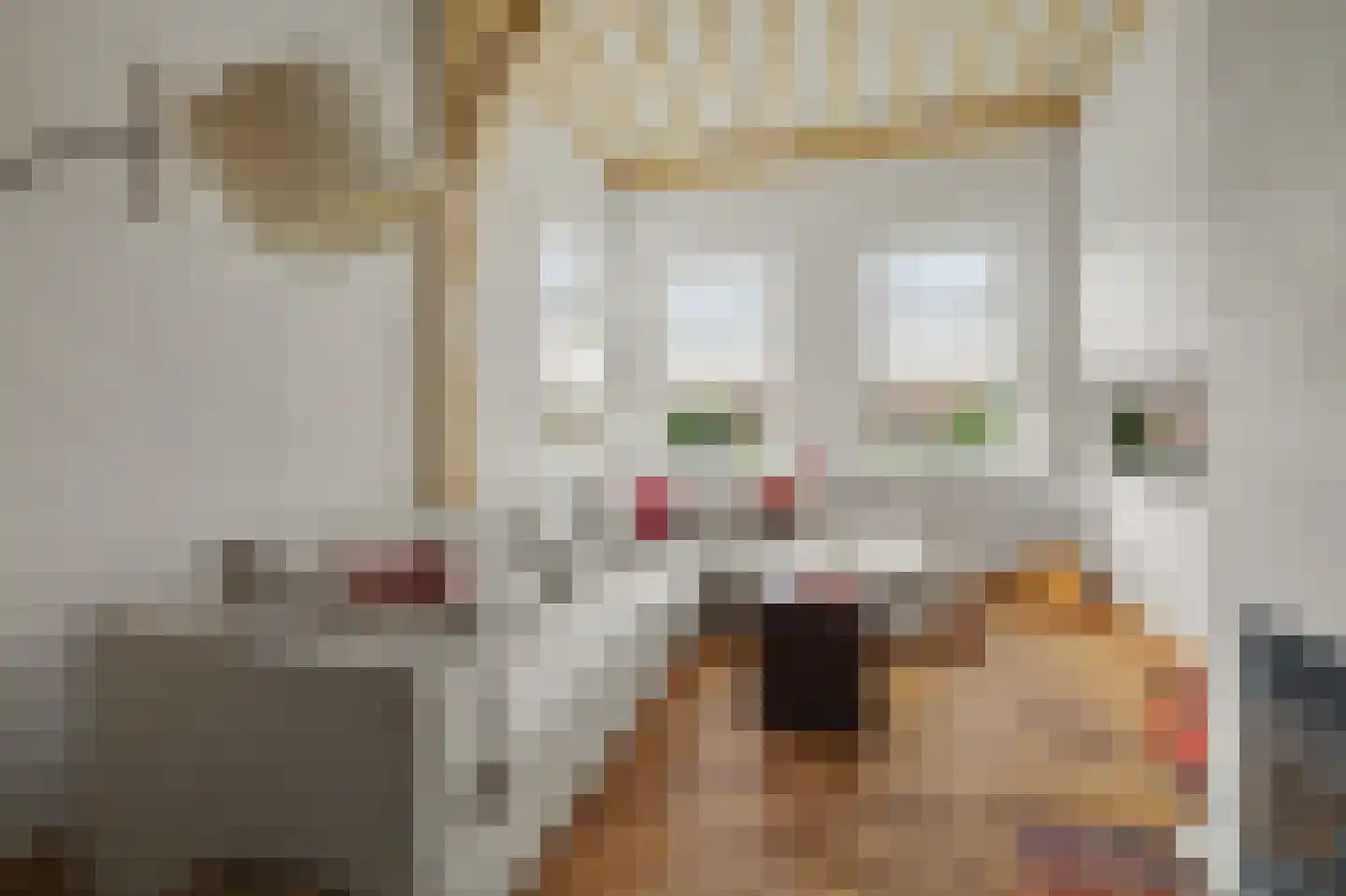 Korte Groendal 12 Zierikzee thumbnail 13