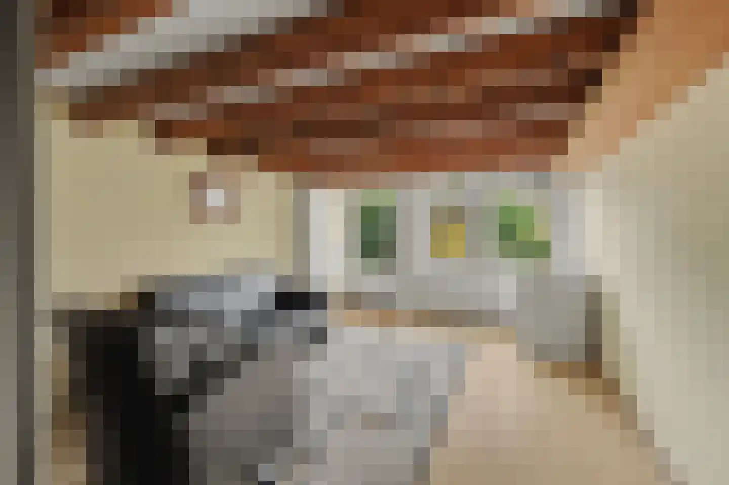 Korte Groendal 12 Zierikzee thumbnail 19
