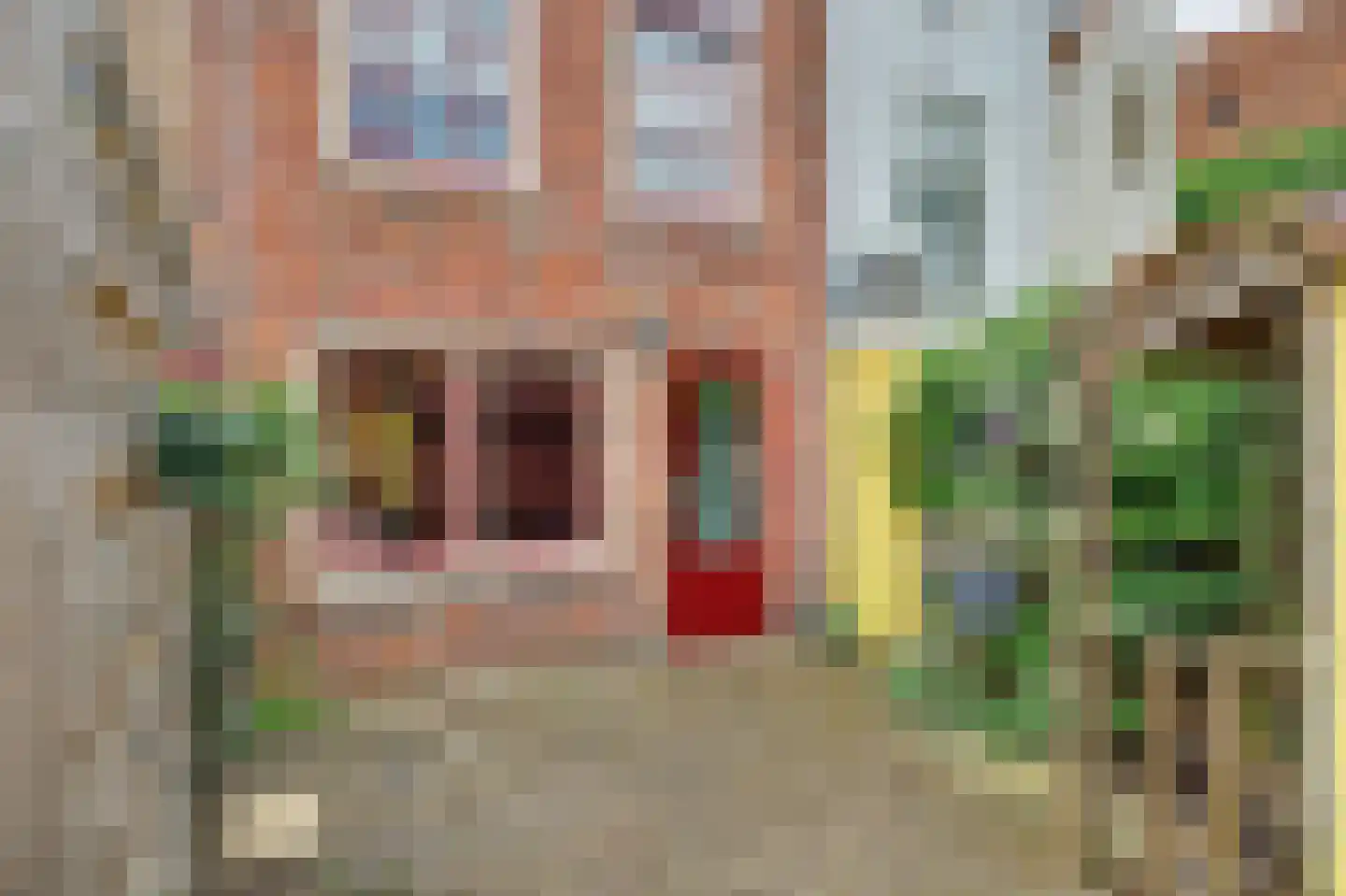Korte Groendal 12 Zierikzee thumbnail 21