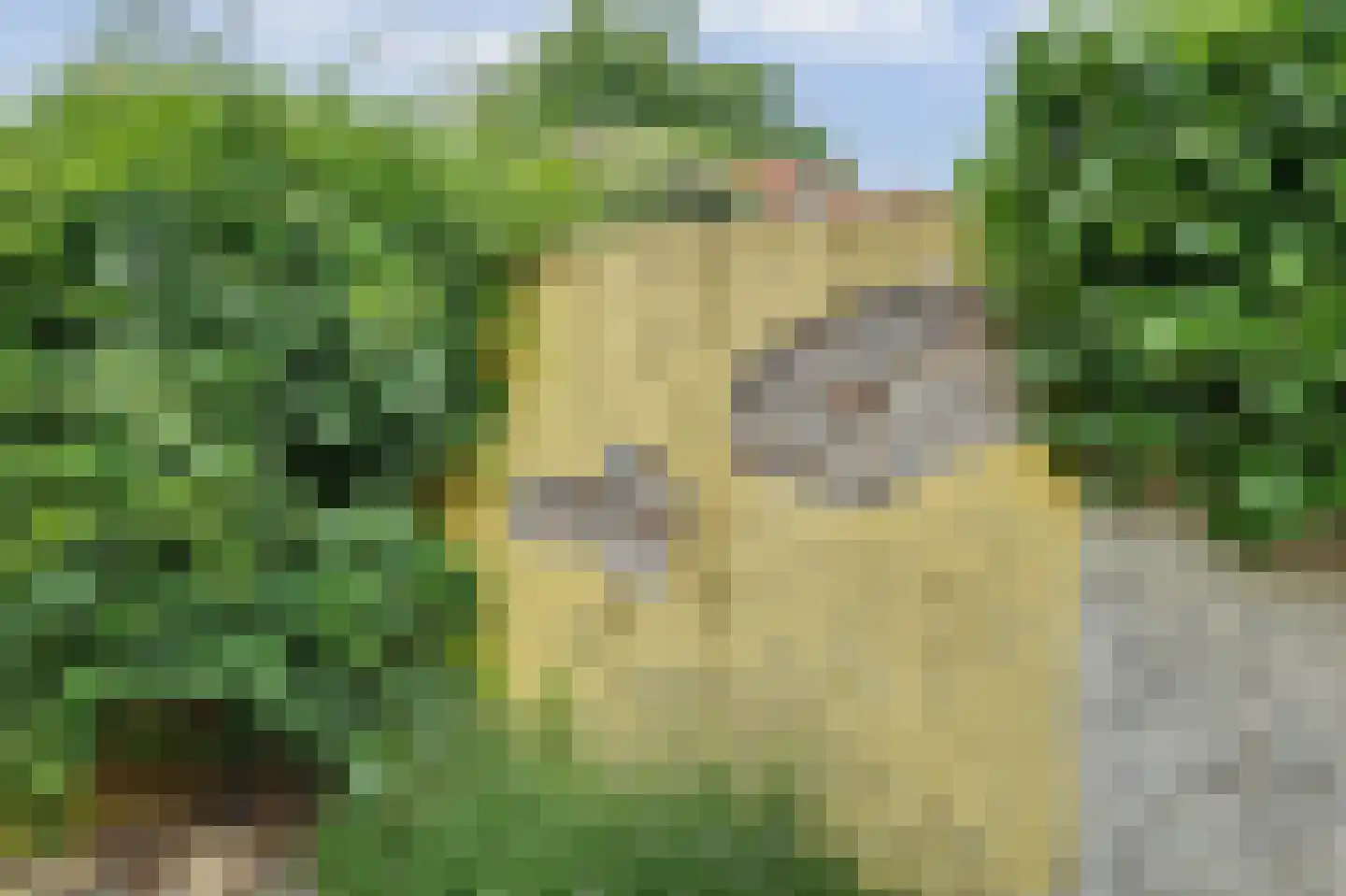 Korte Groendal 12 Zierikzee thumbnail 35