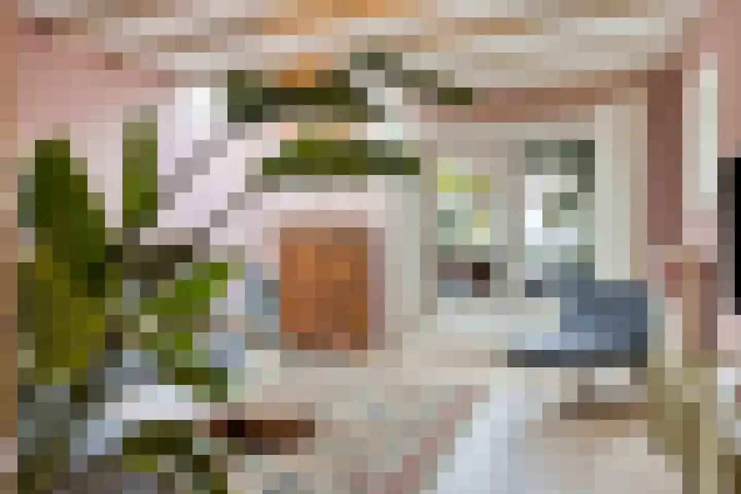 Korte Groendal 20 Zierikzee thumbnail 13