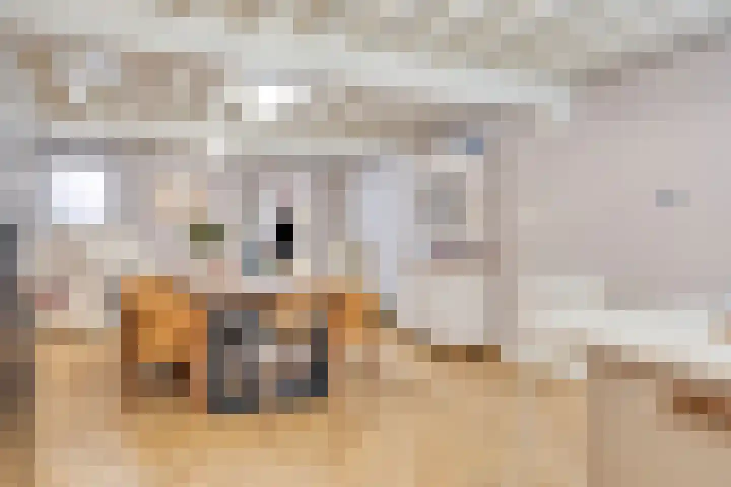 Korte Groendal 20 Zierikzee thumbnail 7