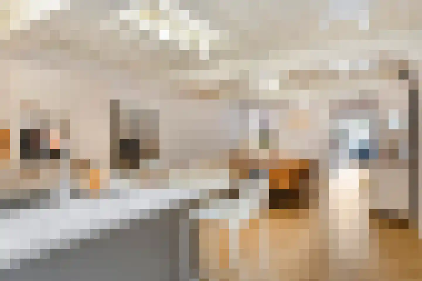 Korte Groendal 20 Zierikzee thumbnail 8