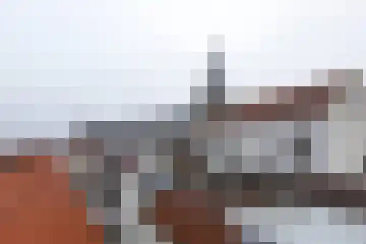 Korte Groenendaal 2 b Gouda thumbnail 15