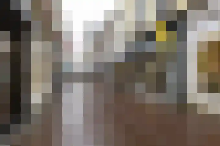 Korte Groenendaal 2 b Gouda thumbnail 16