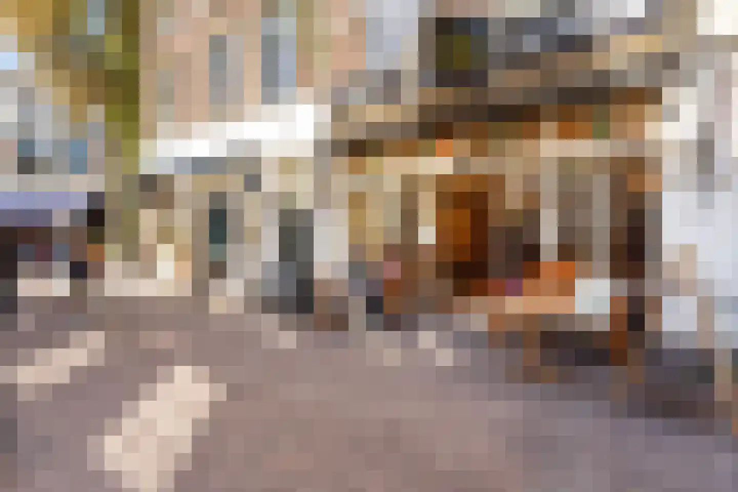 Korte Groenendaal 24 Gouda thumbnail 43