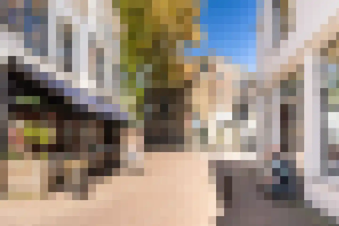 Korte Groenendaal 24 Gouda thumbnail 5