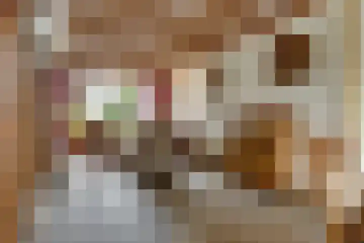 Korte Groenestraat 4 Bruchem thumbnail 10