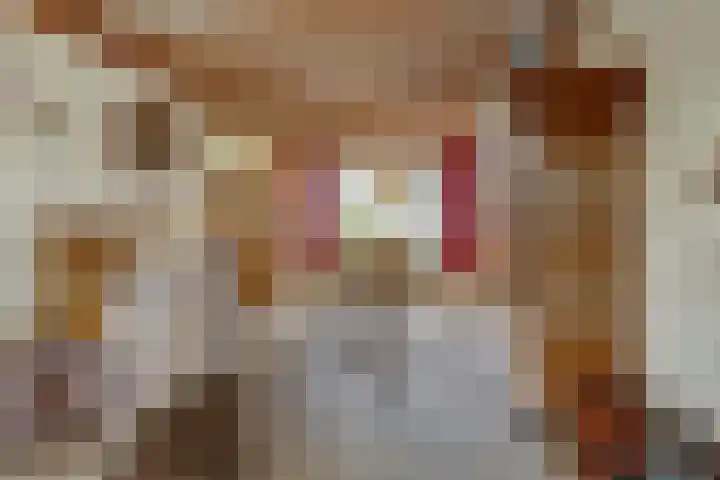 Korte Groenestraat 4 Bruchem thumbnail 12