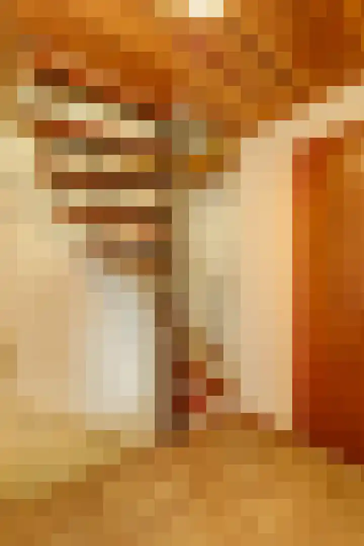 Korte Groenestraat 4 Bruchem thumbnail 19