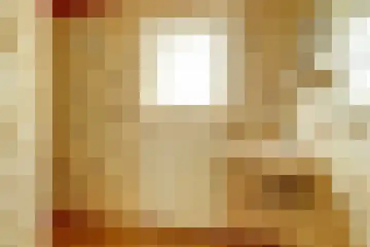 Korte Groenestraat 4 Bruchem thumbnail 28