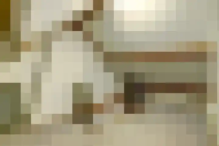 Korte Groenestraat 4 Bruchem thumbnail 31