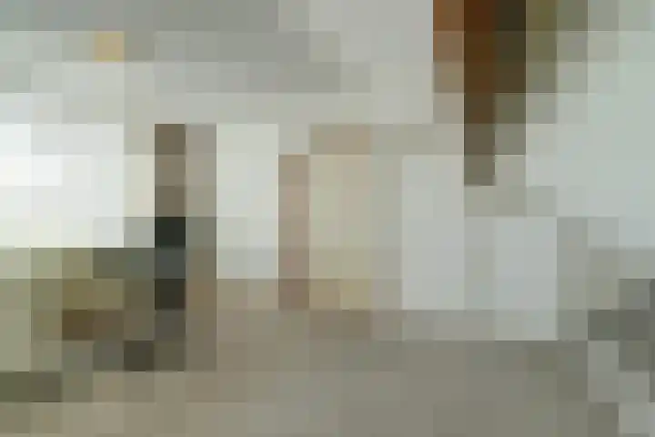 Korte Groenestraat 4 Bruchem thumbnail 33