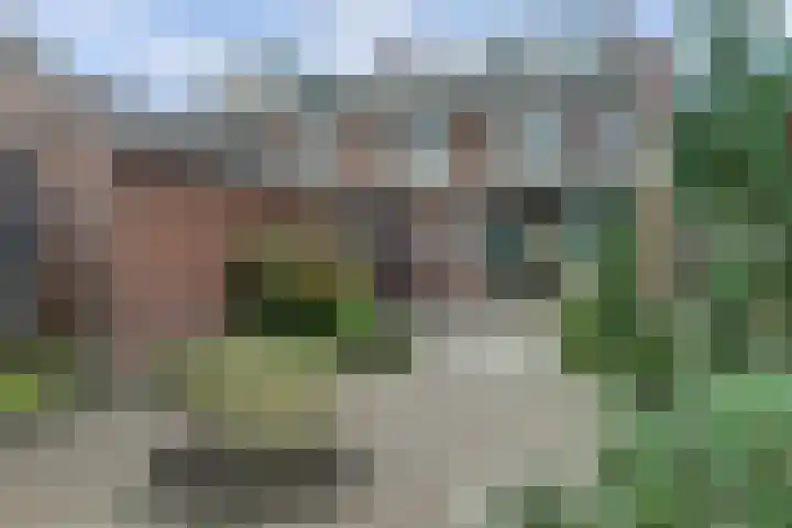 Korte Groenestraat 4 Bruchem thumbnail 36