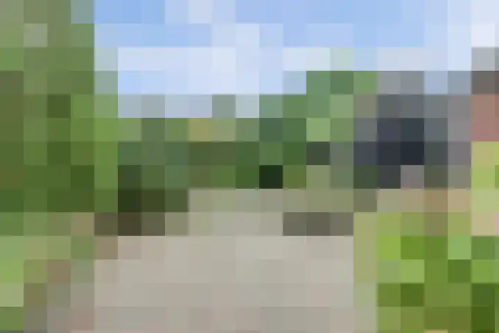 Korte Groenestraat 4 Bruchem thumbnail 41