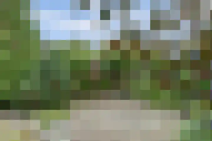 Korte Groenestraat 4 Bruchem thumbnail 42