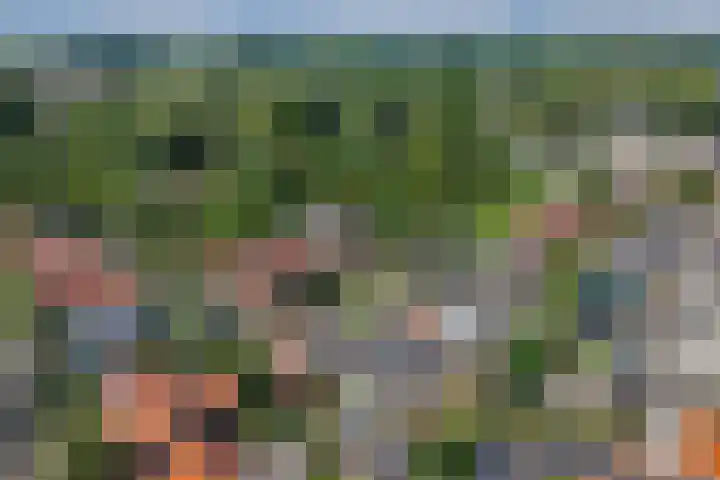 Korte Groenestraat 4 Bruchem thumbnail 45