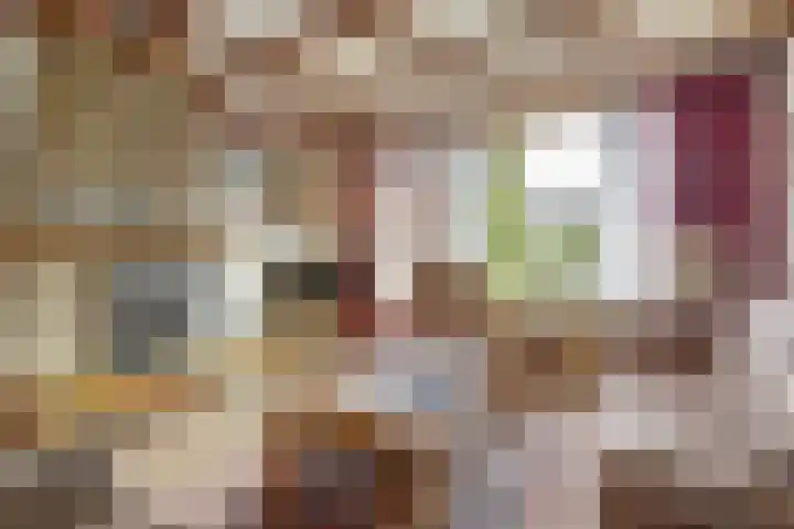 Korte Groenestraat 4 Bruchem thumbnail 8