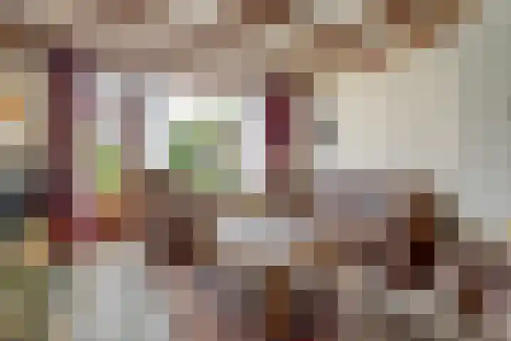 Korte Groenestraat 4 Bruchem thumbnail 9