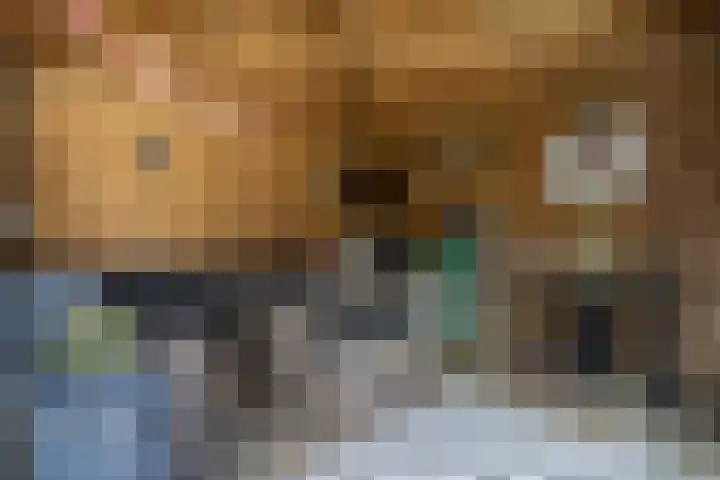 Korte Groenestraat 5 Bruchem thumbnail 12