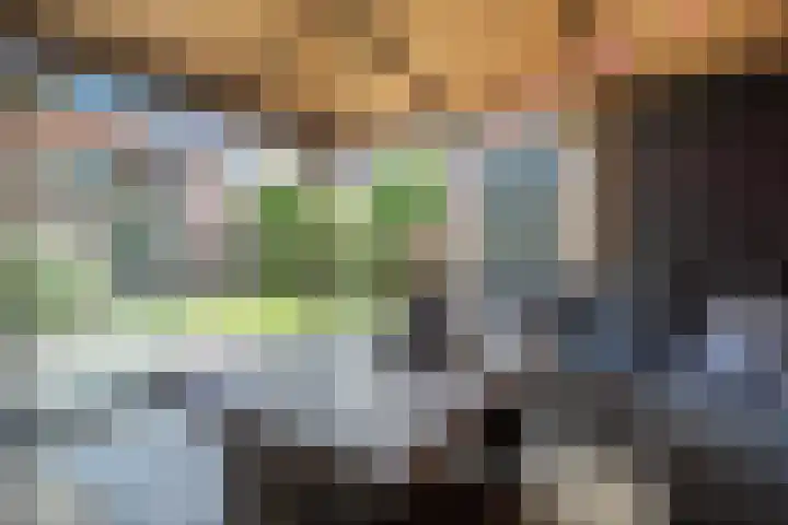 Korte Groenestraat 5 Bruchem thumbnail 13