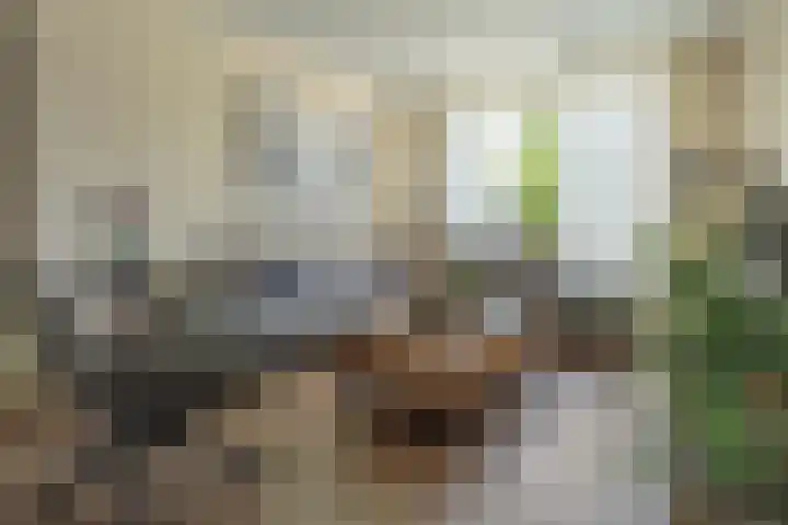 Korte Groenestraat 5 Bruchem thumbnail 24