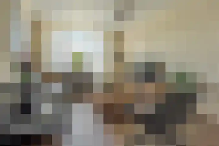 Korte Groenestraat 5 Bruchem thumbnail 26