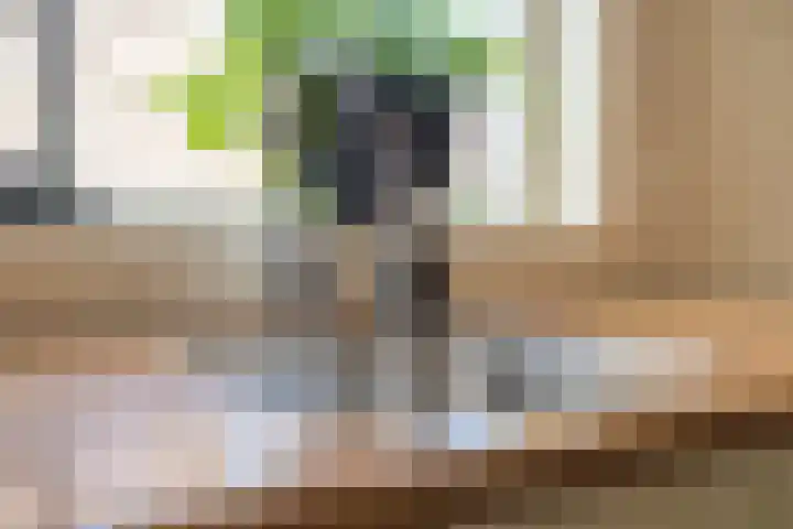 Korte Groenestraat 5 Bruchem thumbnail 30