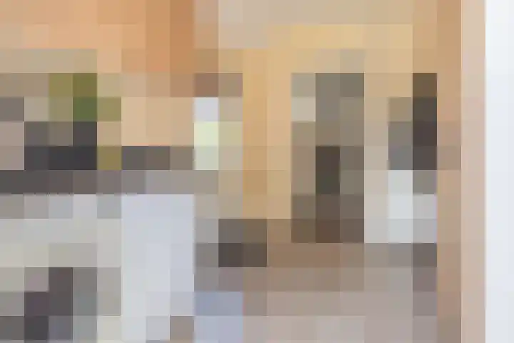 Korte Groenestraat 5 Bruchem thumbnail 34