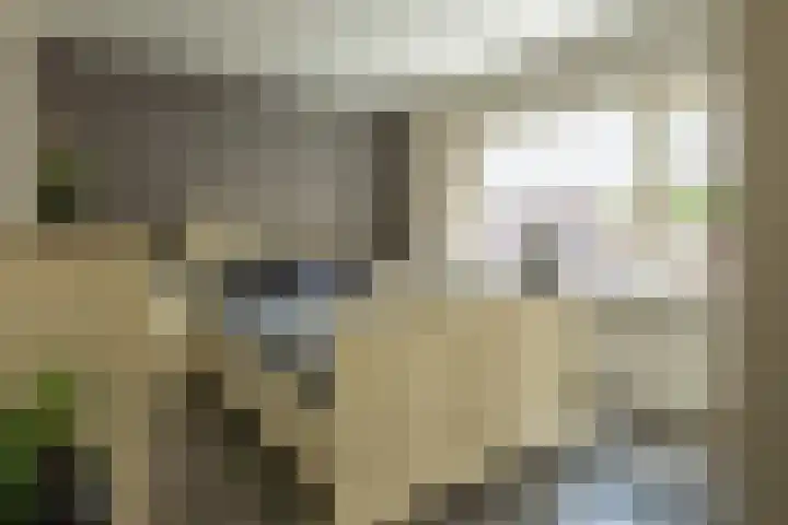 Korte Groenestraat 5 Bruchem thumbnail 38