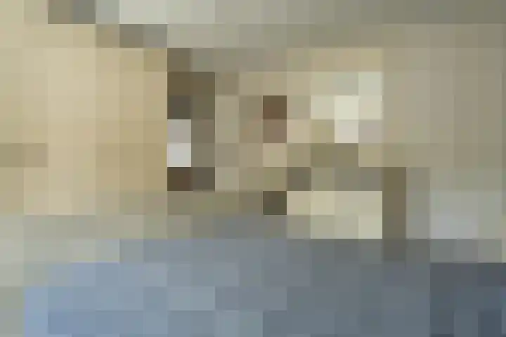 Korte Groenestraat 5 Bruchem thumbnail 39