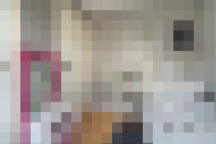 Korte Groenestraat 5 Bruchem thumbnail 42