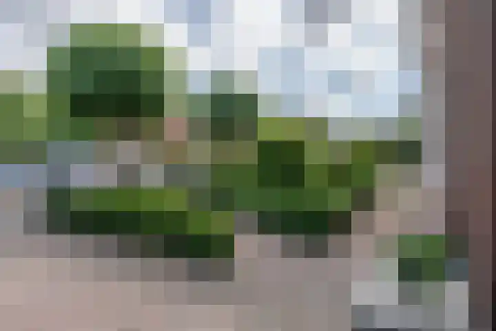 Korte Groenestraat 5 Bruchem thumbnail 5