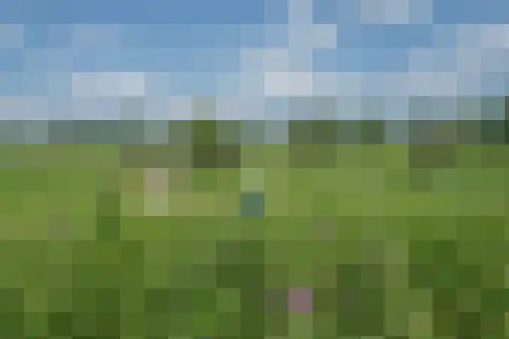 Korte Groenestraat 5 Bruchem thumbnail 51