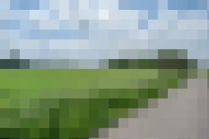 Korte Groenestraat 5 Bruchem thumbnail 52