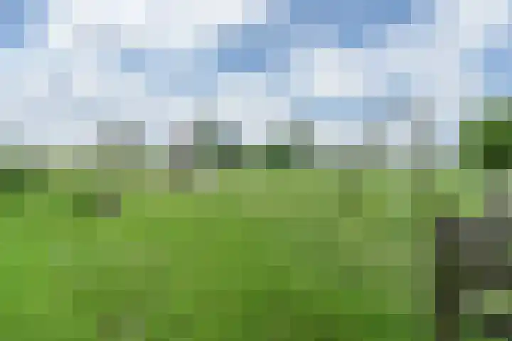 Korte Groenestraat 5 Bruchem thumbnail 54