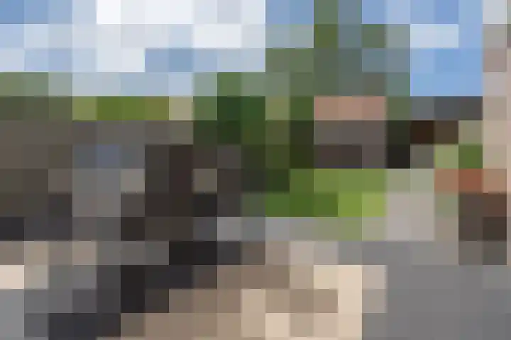 Korte Groenestraat 5 Bruchem thumbnail 8