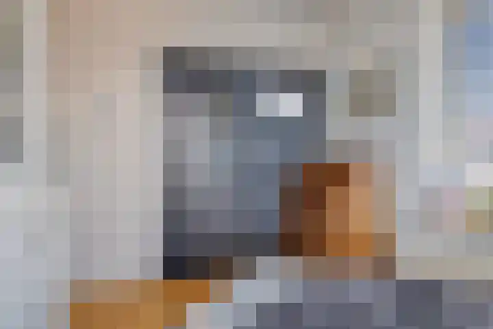 Korte Groningerweg 41 Foxhol thumbnail 31