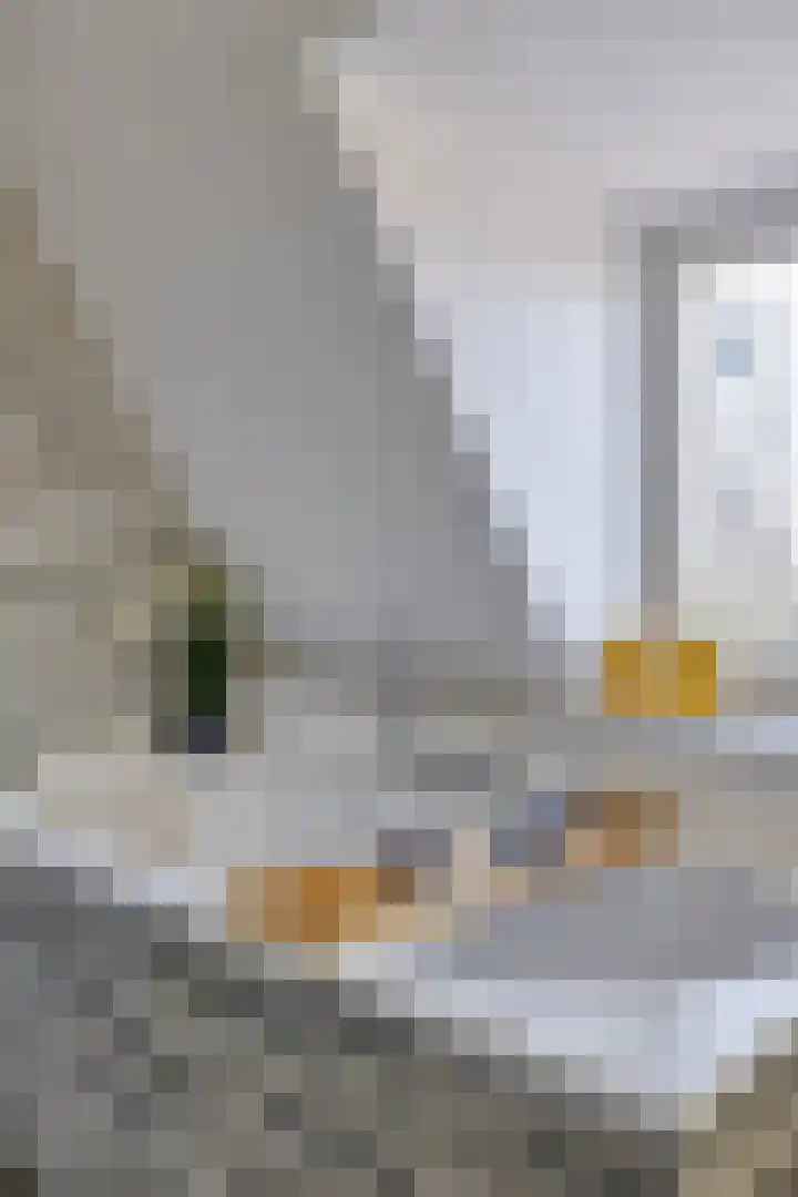 Korte Groningerweg 41 Foxhol thumbnail 44