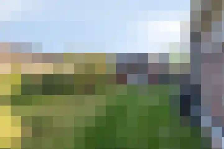 Korte Groningerweg 41 Foxhol thumbnail 60