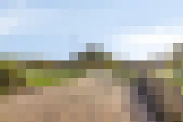 Korte Groningerweg 41 Foxhol thumbnail 9