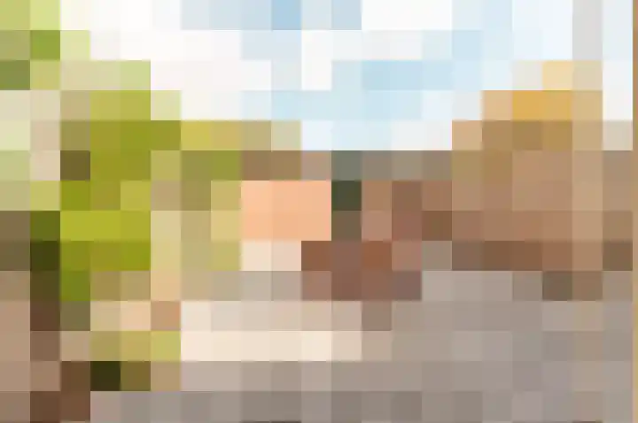 Korte Haeg 65 Ermelo thumbnail 34