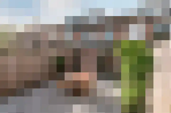 Korte Haeg 65 Ermelo thumbnail 37