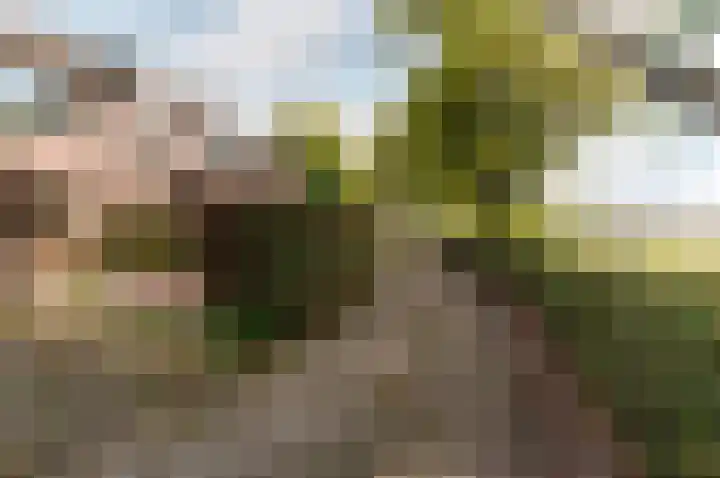 Korte Haeg 65 Ermelo thumbnail 41