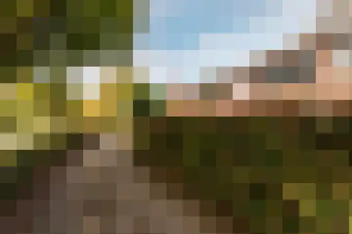 Korte Haeg 65 Ermelo thumbnail 42