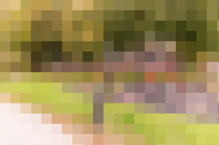 Korte Haeg 65 Ermelo thumbnail 44