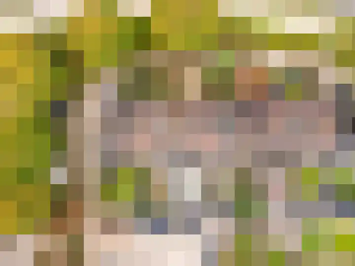 Korte Haeg 65 Ermelo thumbnail 45