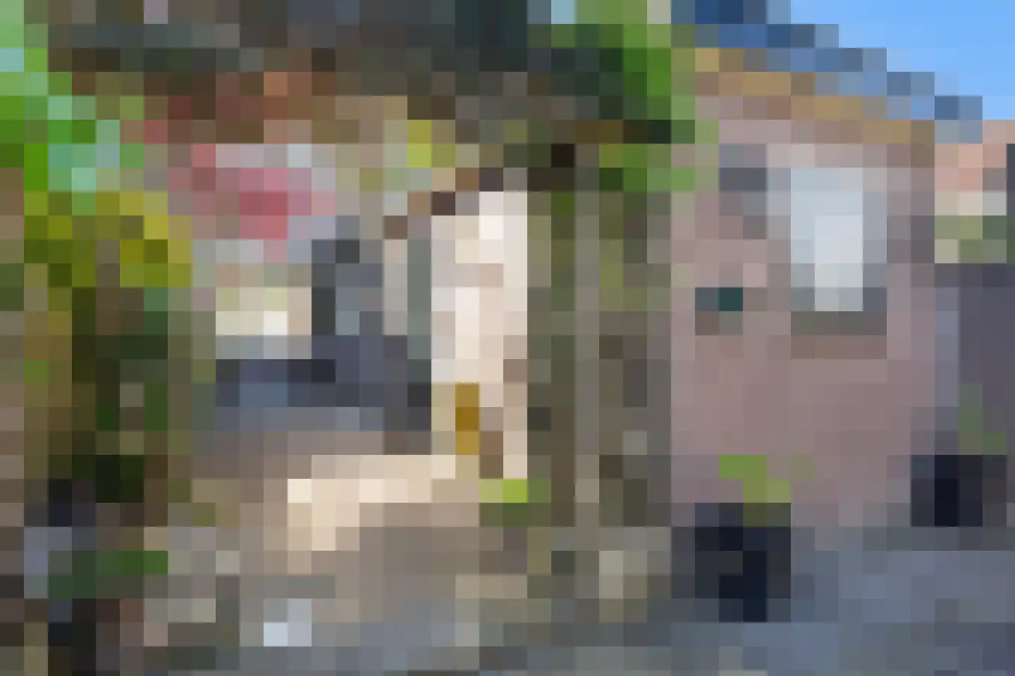Korte Hartweg 13 Soest thumbnail 21